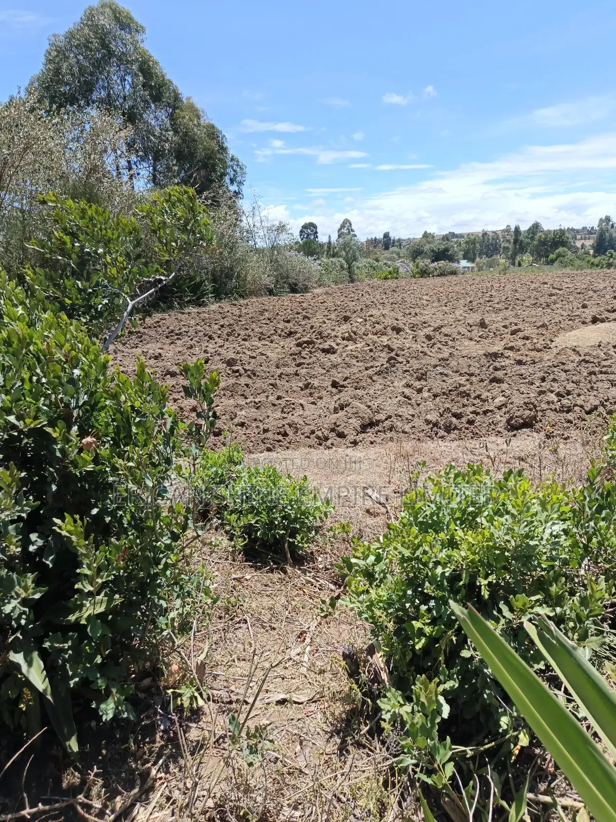 Ndaragwa Uruku 2acres for Sale in Central Ndaragwa