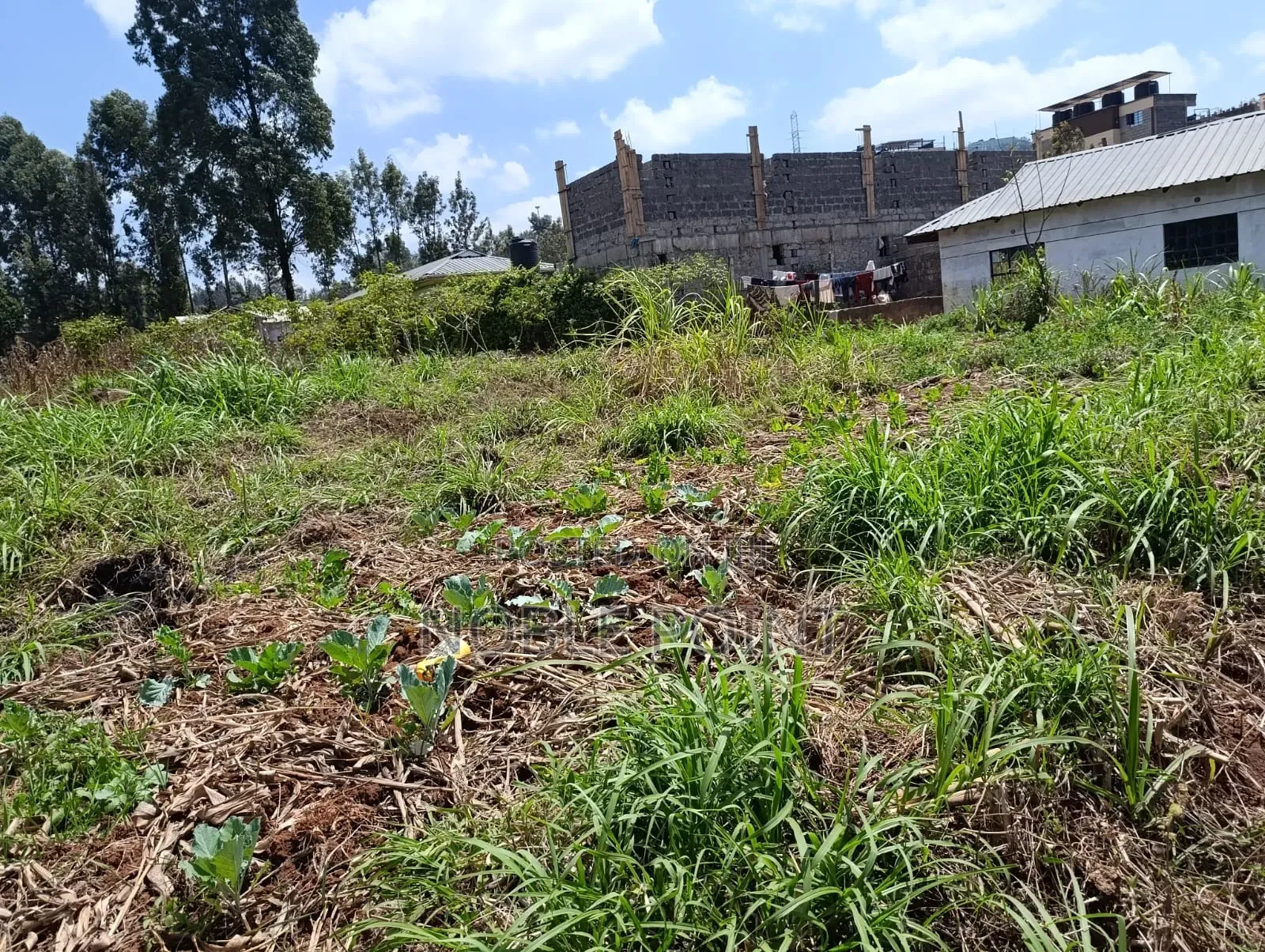Land on Sale at Riabai Kiambu in Riabai