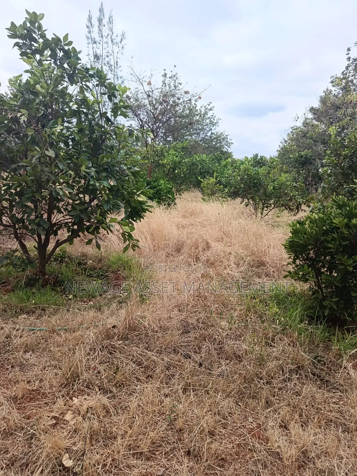 12.88 Acre Farmstead for Sale in Matuu Machakos County. in Matuu