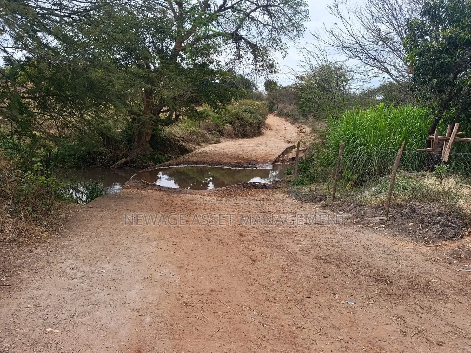 12.88 Acre Farmstead for Sale in Matuu Machakos County. in Matuu
