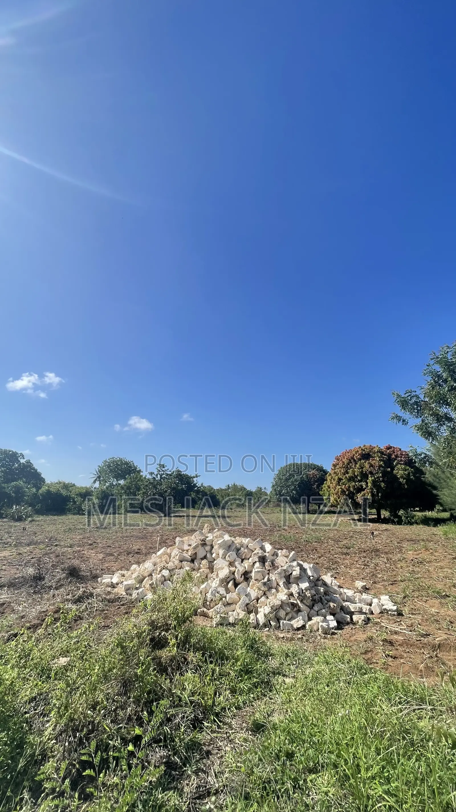 Gede 50 by 100 Ft Plots in Gede