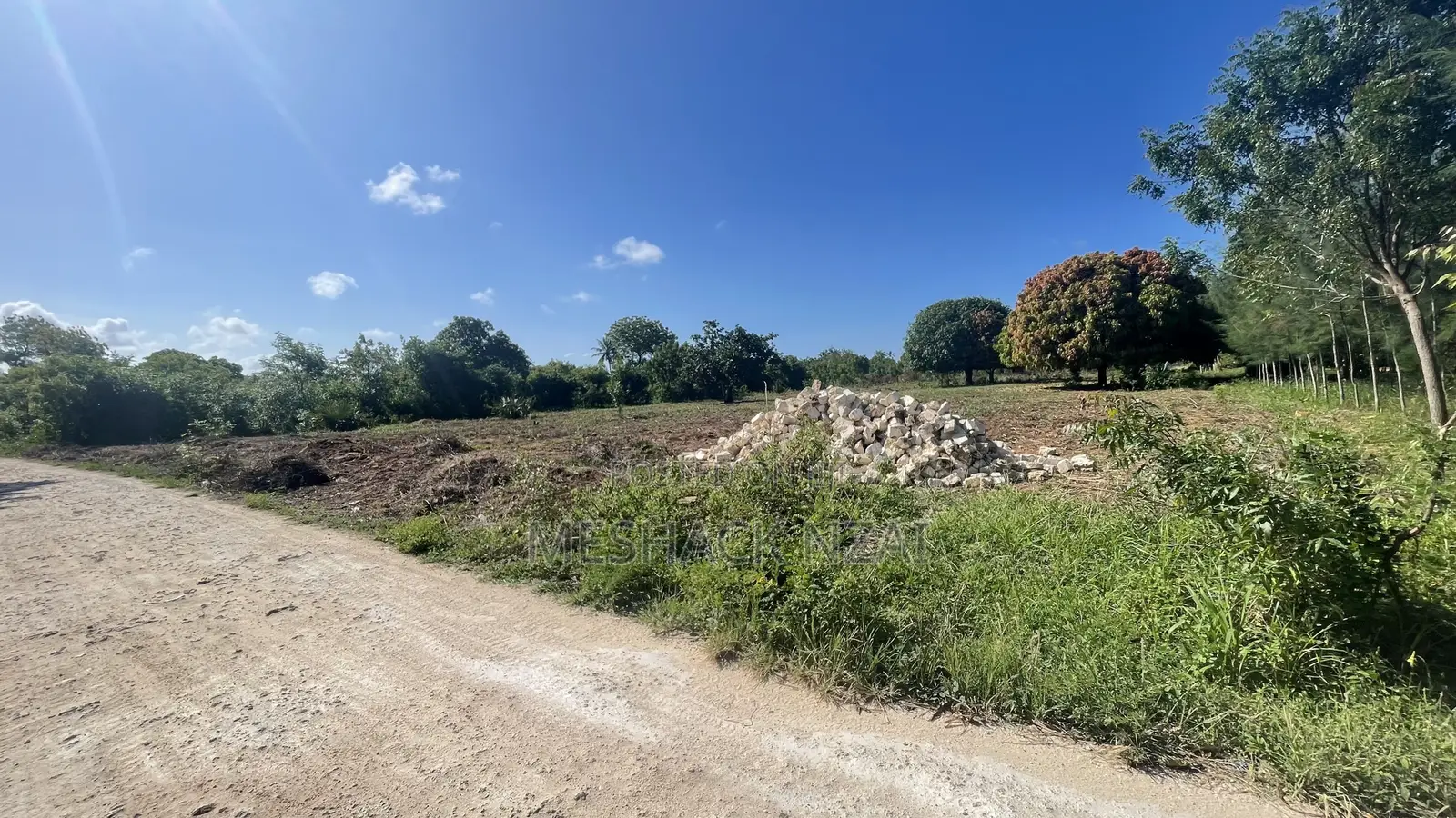 Gede 50 by 100 Ft Plots in Gede