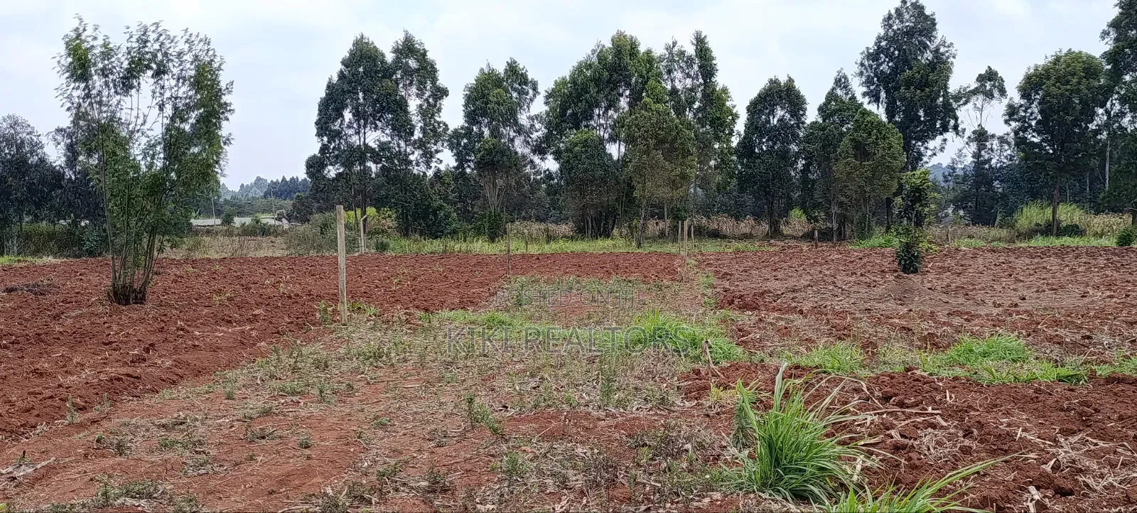 Plots for Sale in Kiroe Along Chungamali in Zambezi/Sigona