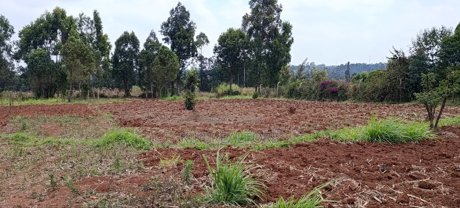 Plots for Sale in Kiroe Along Chungamali in Zambezi/Sigona