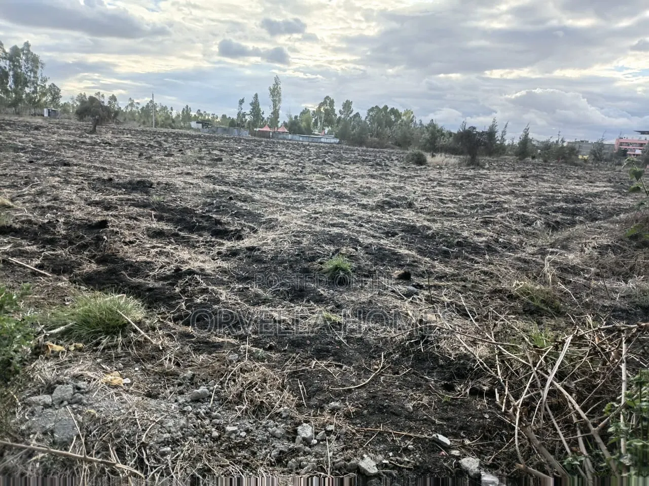 Land and Plot for Sale in Kitengela in Kitengela