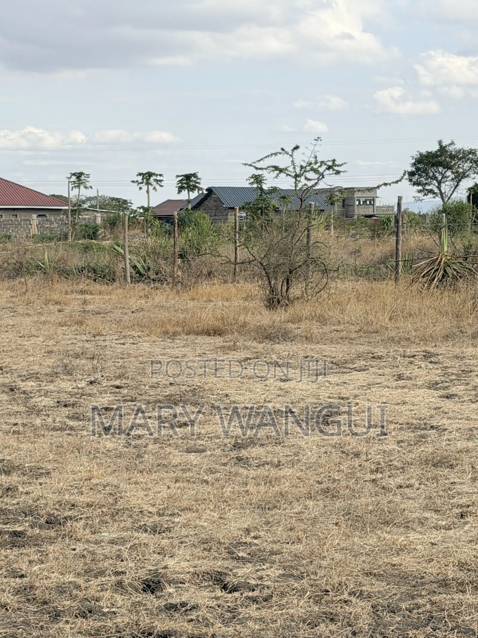 Nine (40 by 80) Plots Juja Farm -Mumba in Kalimoni