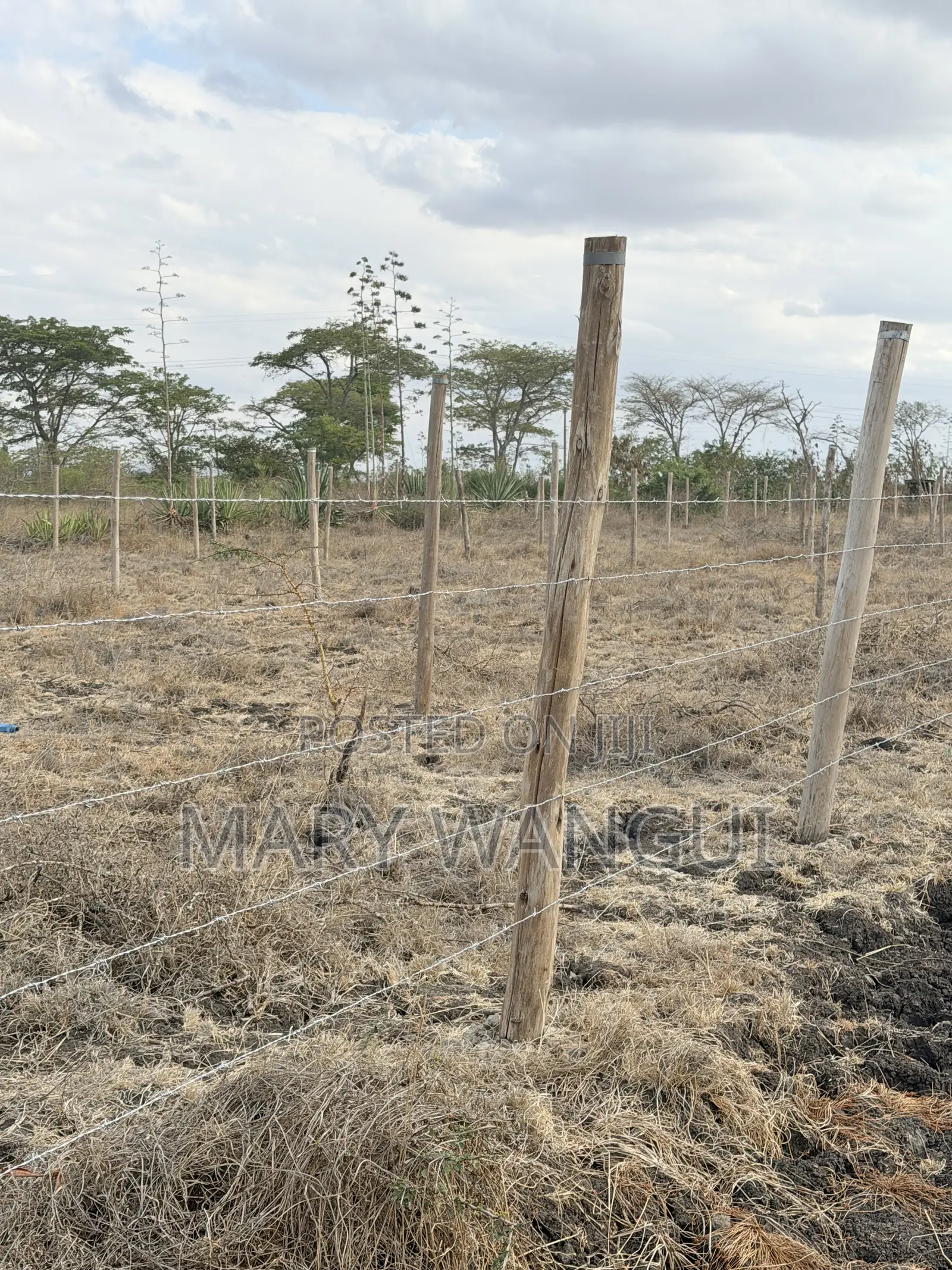 Nine (40 by 80) Plots Juja Farm -Mumba in Kalimoni