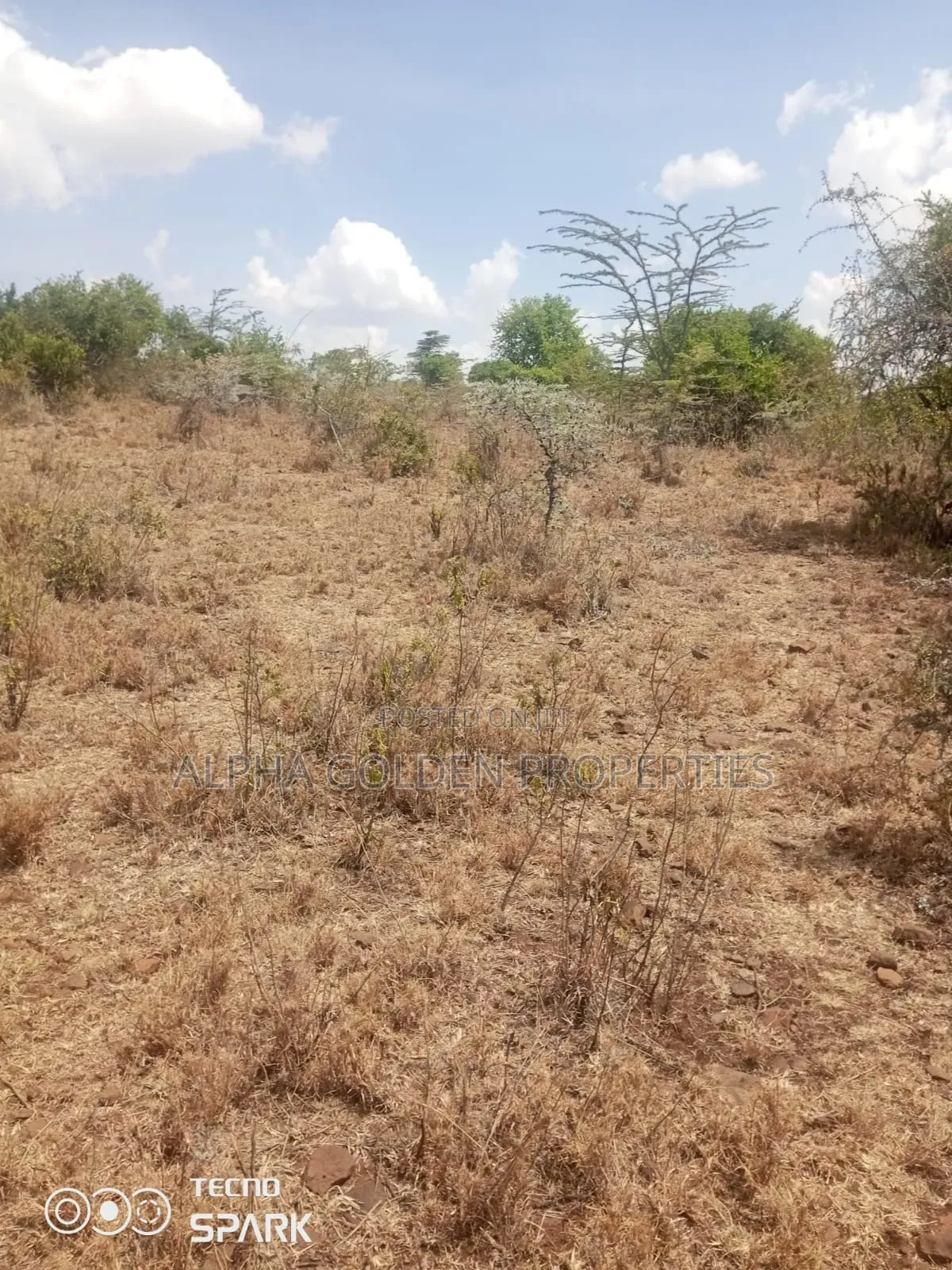 20 Acres on Sale Ngobit in Gakawa
