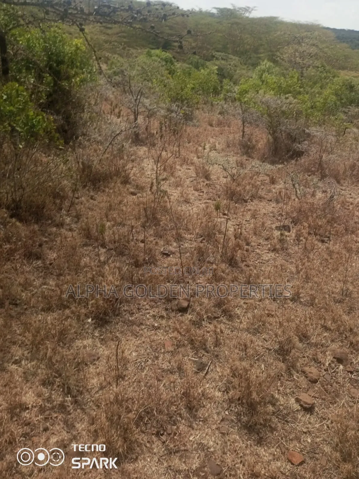 20 Acres on Sale Ngobit in Gakawa