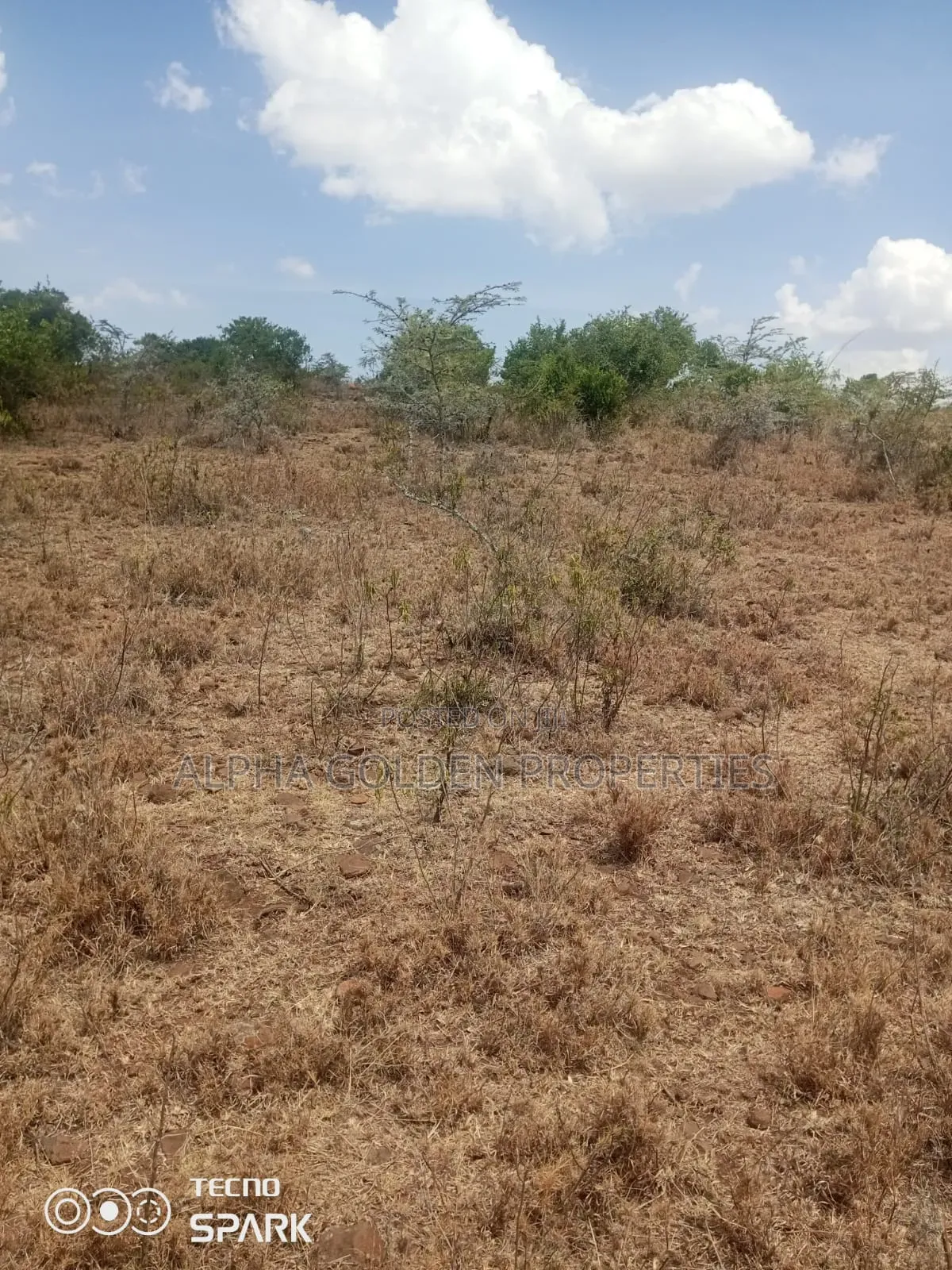 20 Acres on Sale Ngobit in Gakawa