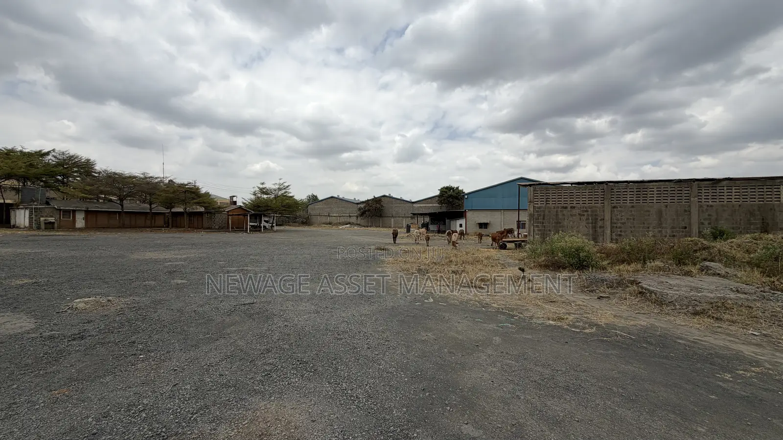 Commercial Property for Sale in Syokimau
