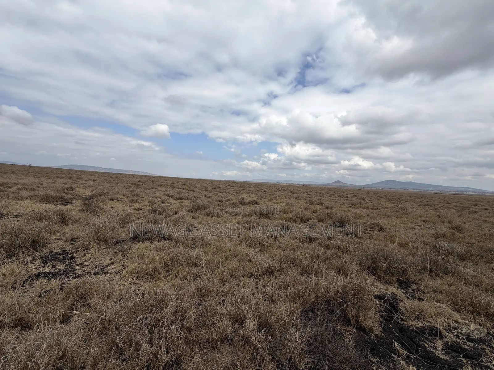 Plots for Sale in Konza Techno City in Malili