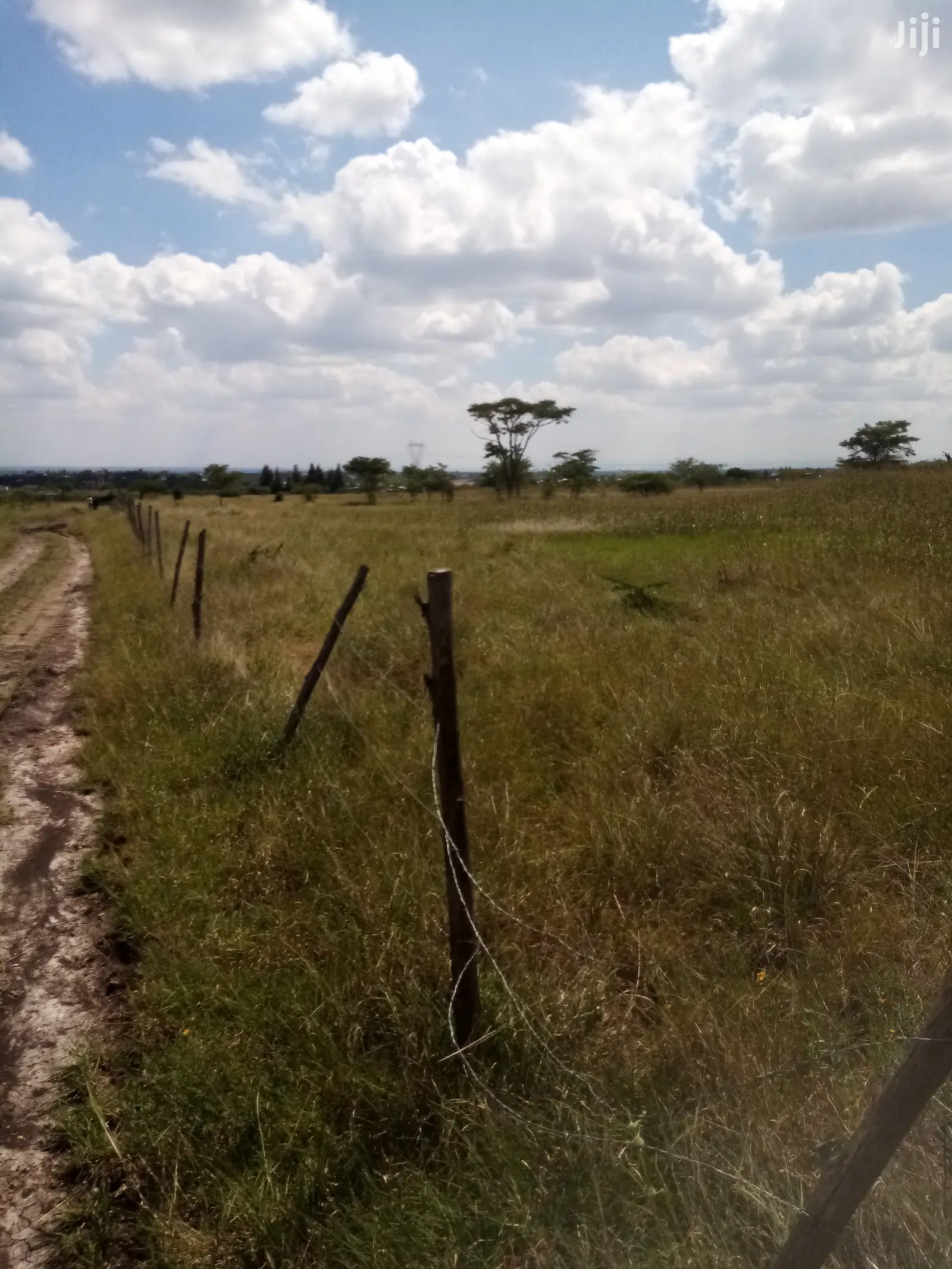 Mwalimu Farm Plots - Your Investment in Agriculture in Juja