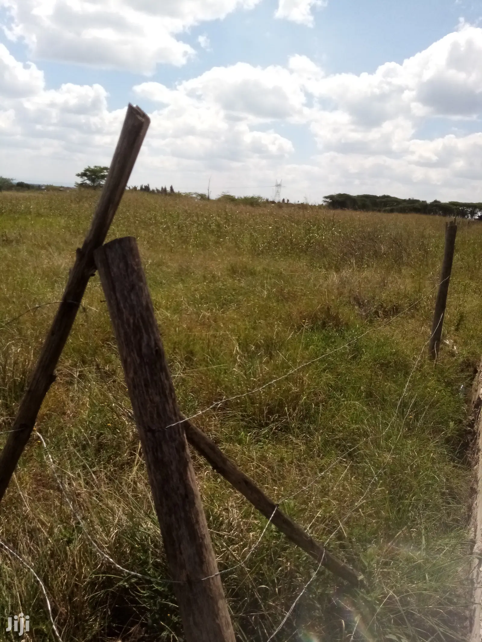 Mwalimu Farm Plots - Your Investment in Agriculture in Juja