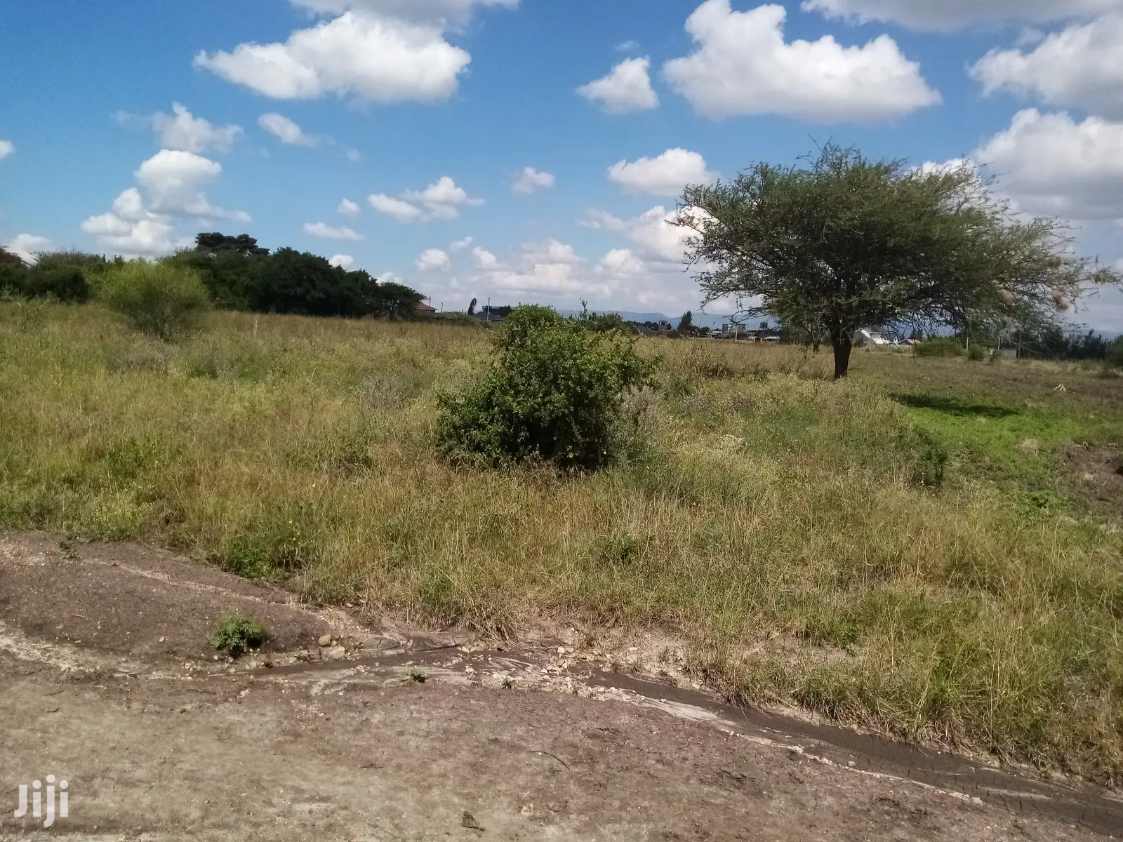 Mwalimu Farm Plots - Your Investment in Agriculture in Juja