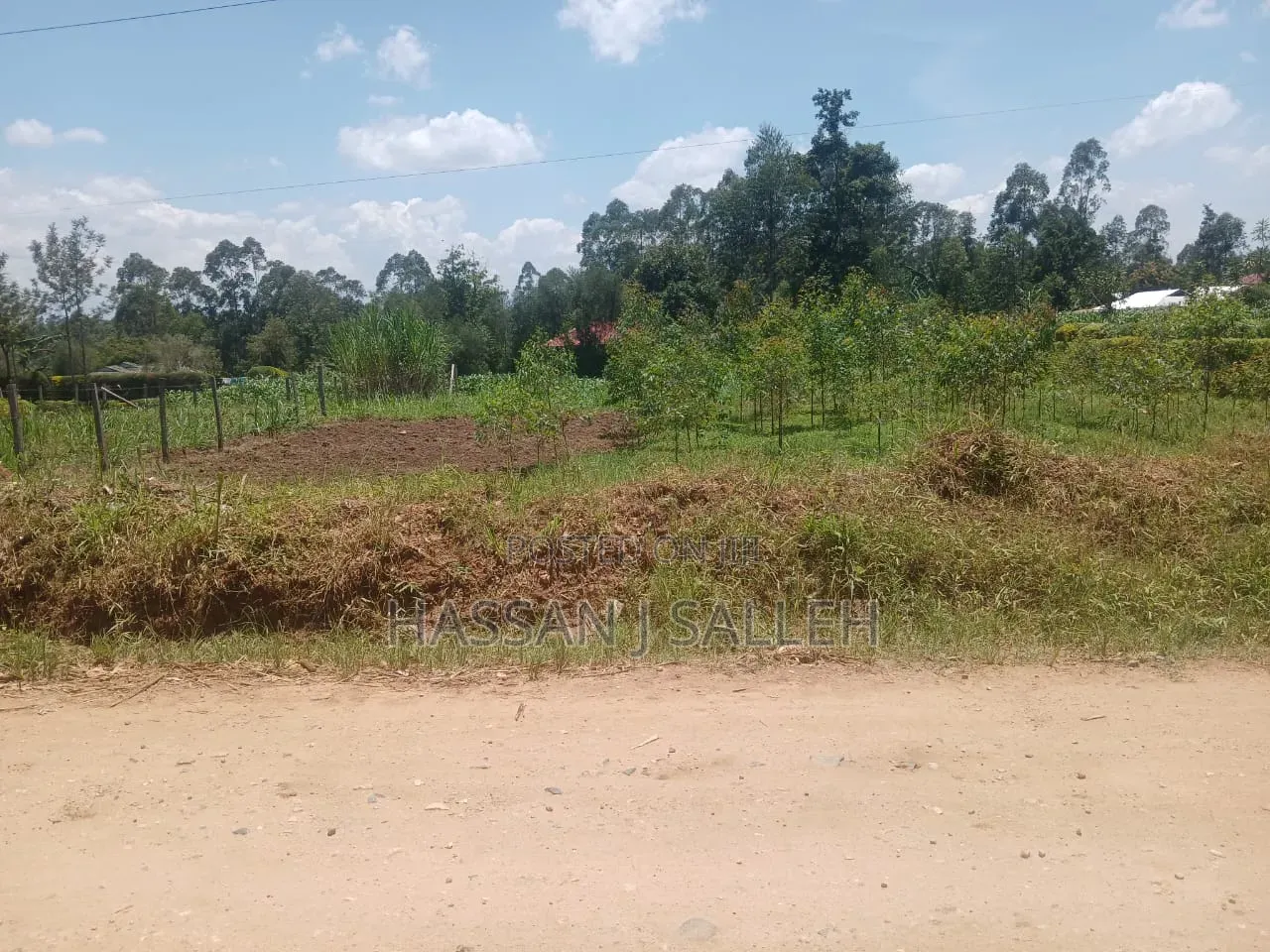 50 by 100plot Makunga on Sale in Butsotso South