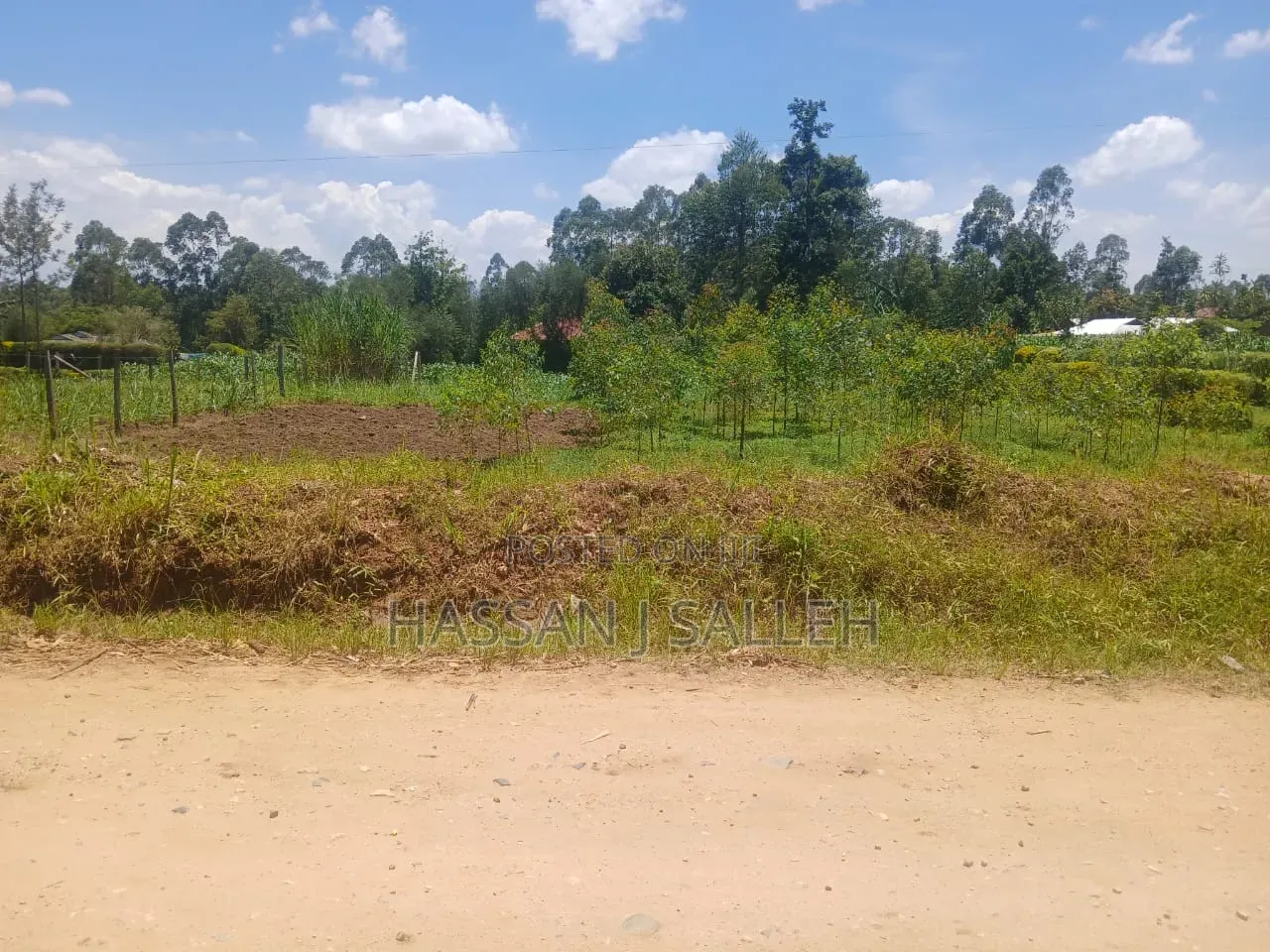 50 by 100plot Makunga on Sale in Butsotso South
