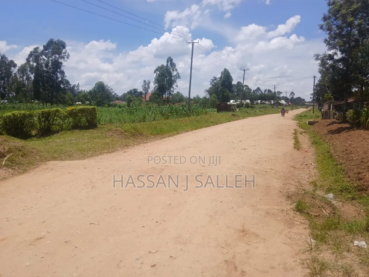 50 by 100plot Makunga on Sale in Butsotso South