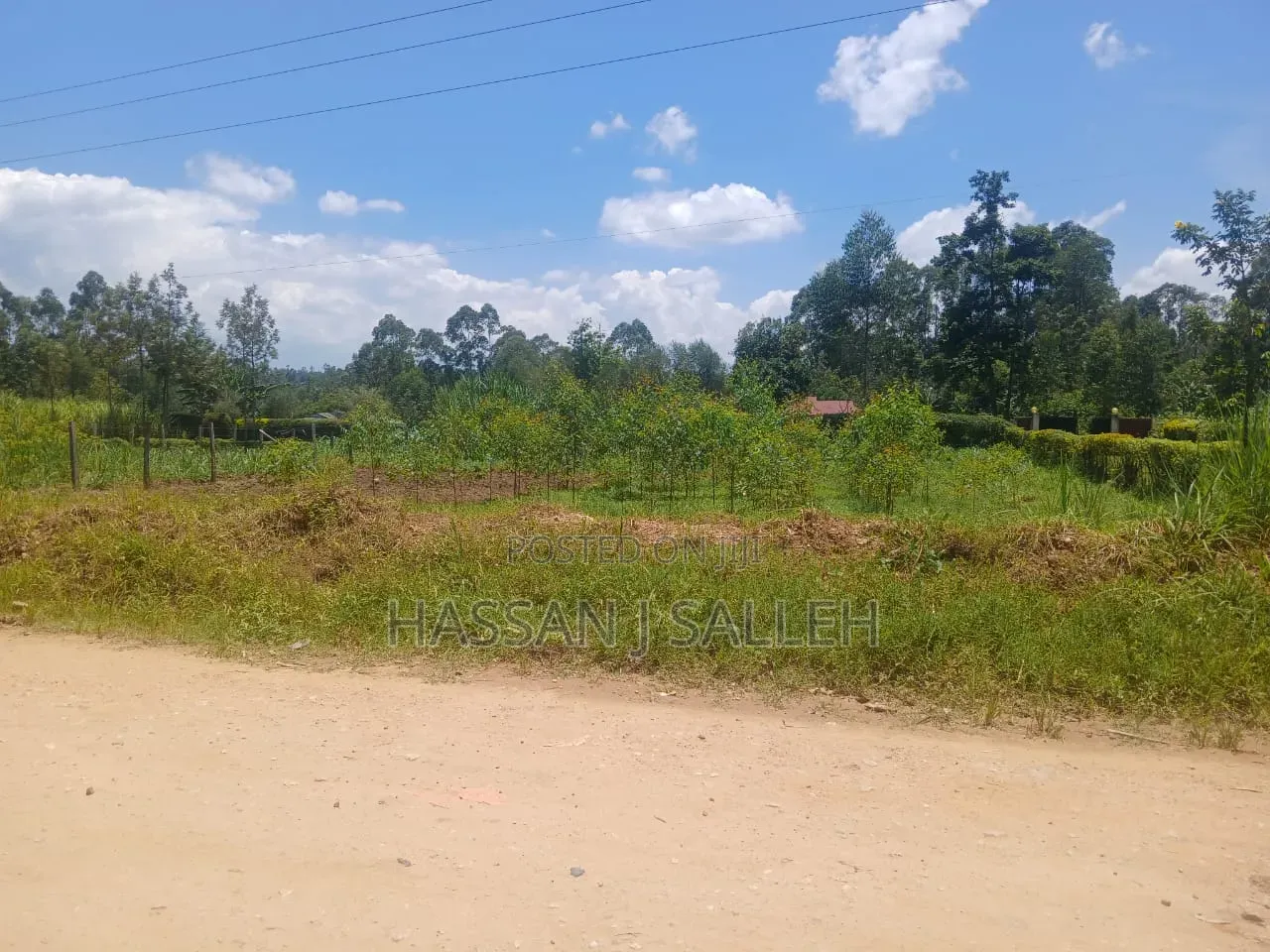 50 by 100plot Makunga on Sale in Butsotso South