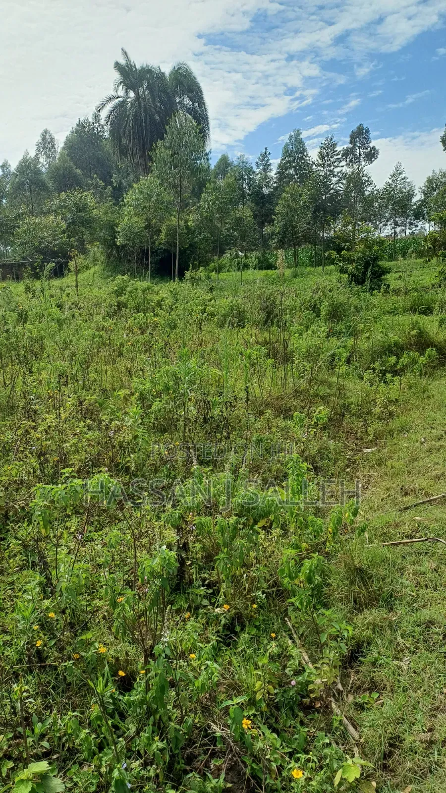 3acres Mumias Lureko on Sale in Mumias Central
