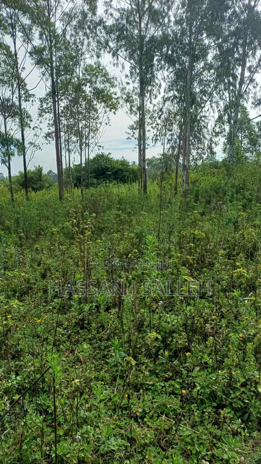 3acres Mumias Lureko on Sale in Mumias Central