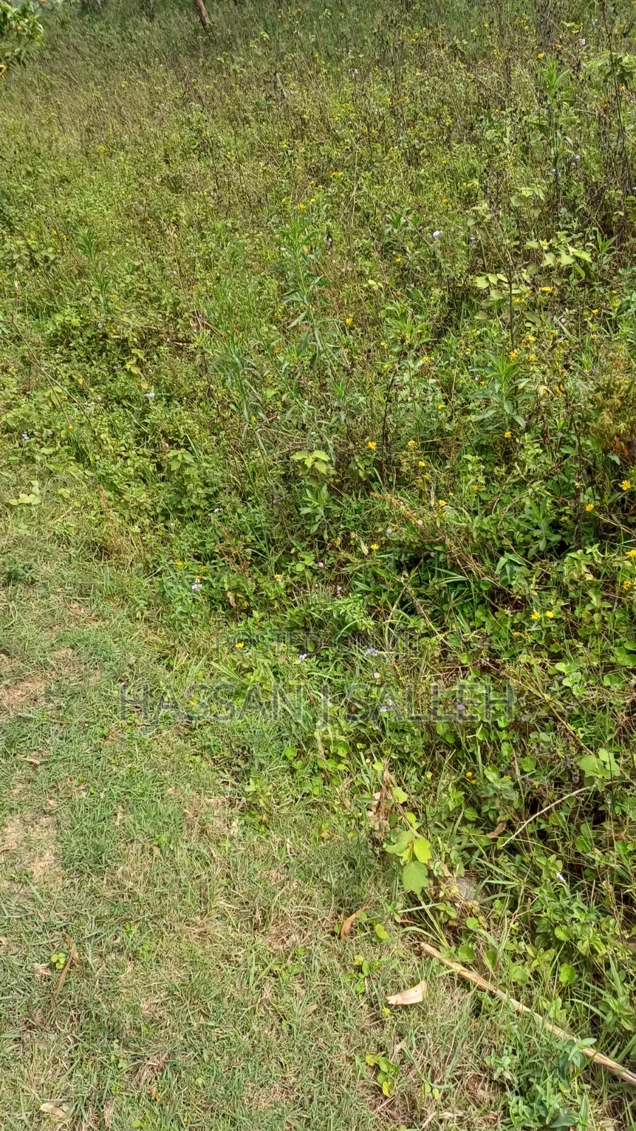 3acres Mumias Lureko on Sale in Mumias Central