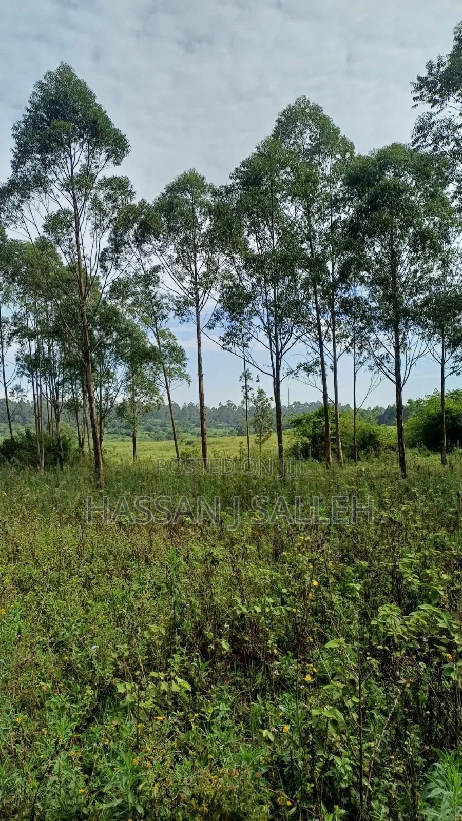 3acres Mumias Lureko on Sale in Mumias Central