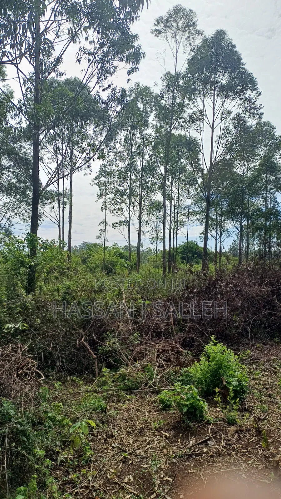 3acres Mumias Lureko on Sale in Mumias Central