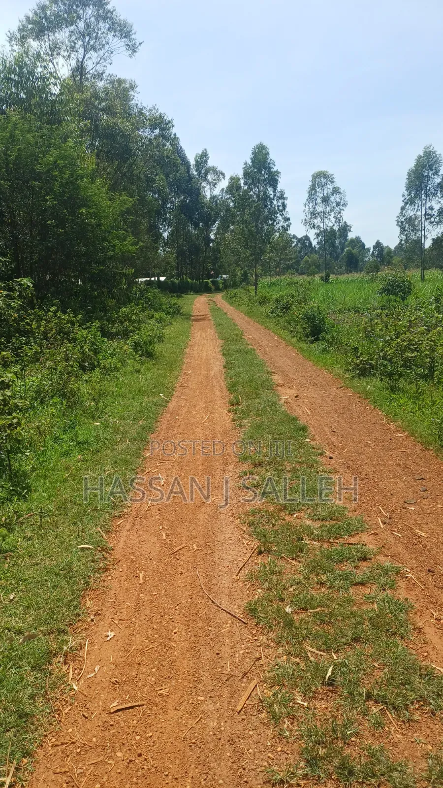 1/2acre Mumias Lureko in Mumias Central