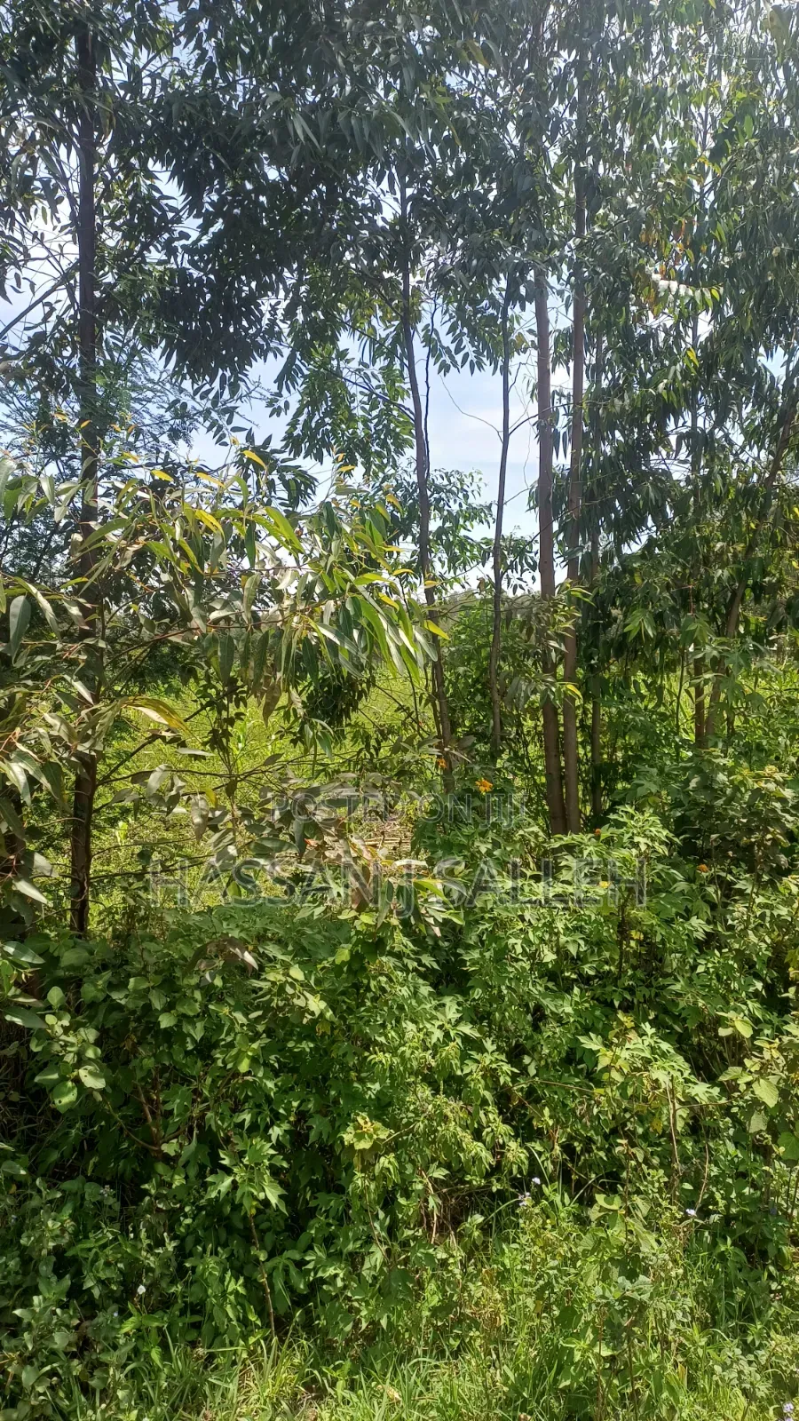 1/2acre Mumias Lureko in Mumias Central