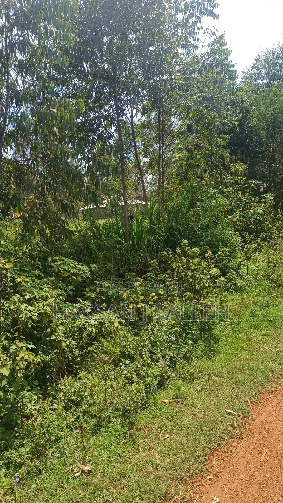 1/2acre Mumias Lureko in Mumias Central