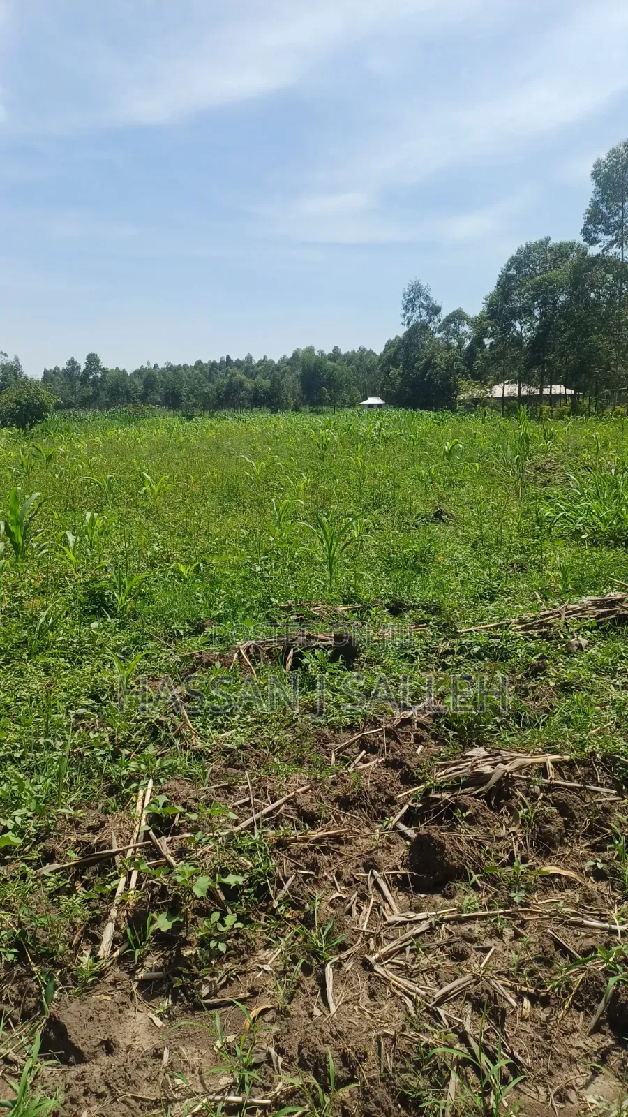 1/2acre Mumias Lureko in Mumias Central