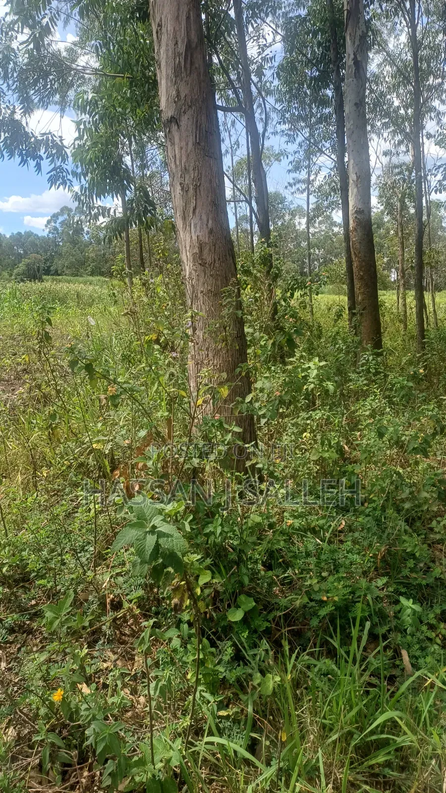 2acres Matungu in Koyonzo