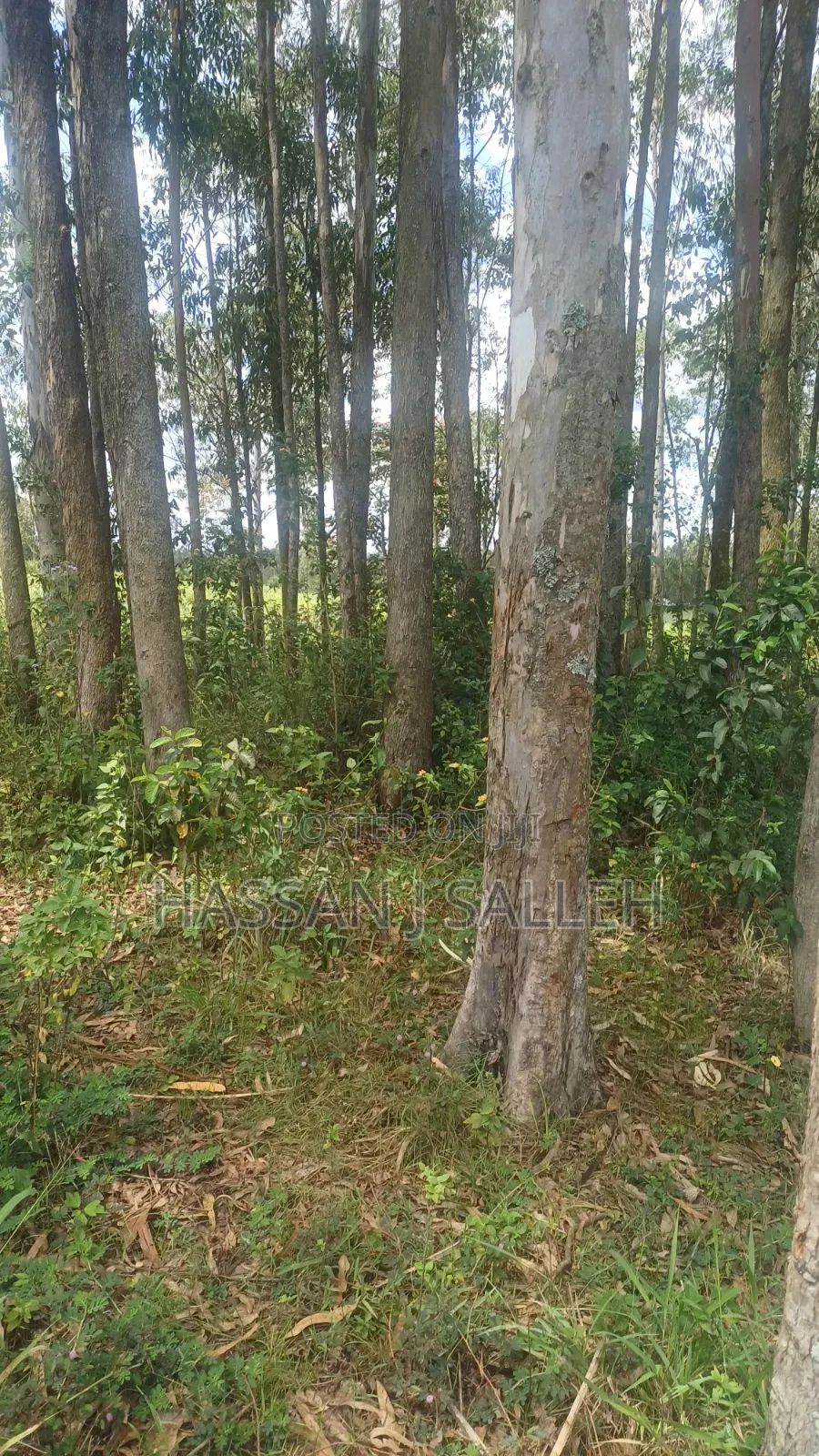 2acres Matungu in Koyonzo