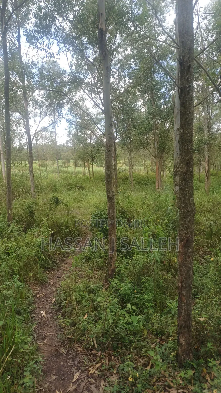 2acres Matungu in Koyonzo