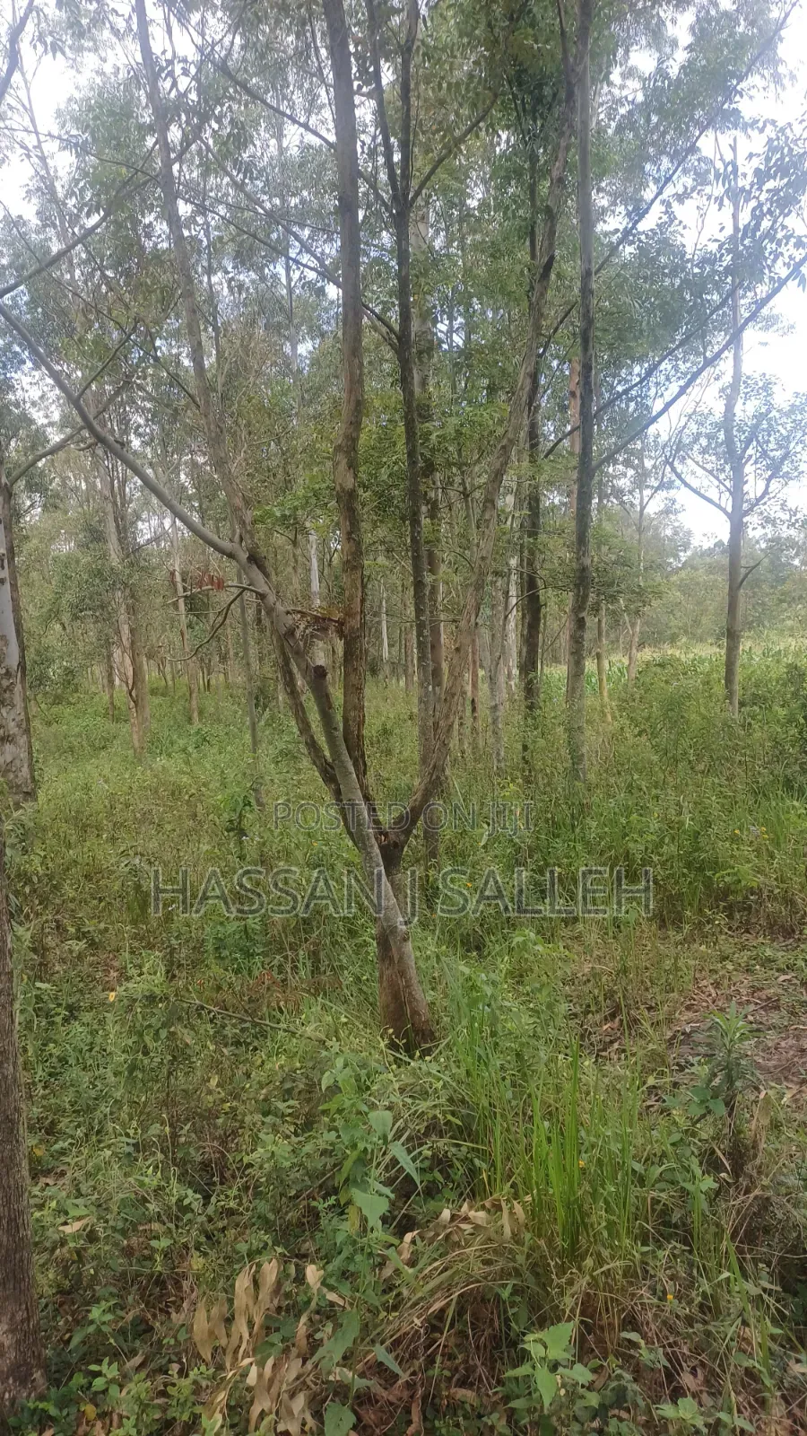2acres Matungu in Koyonzo