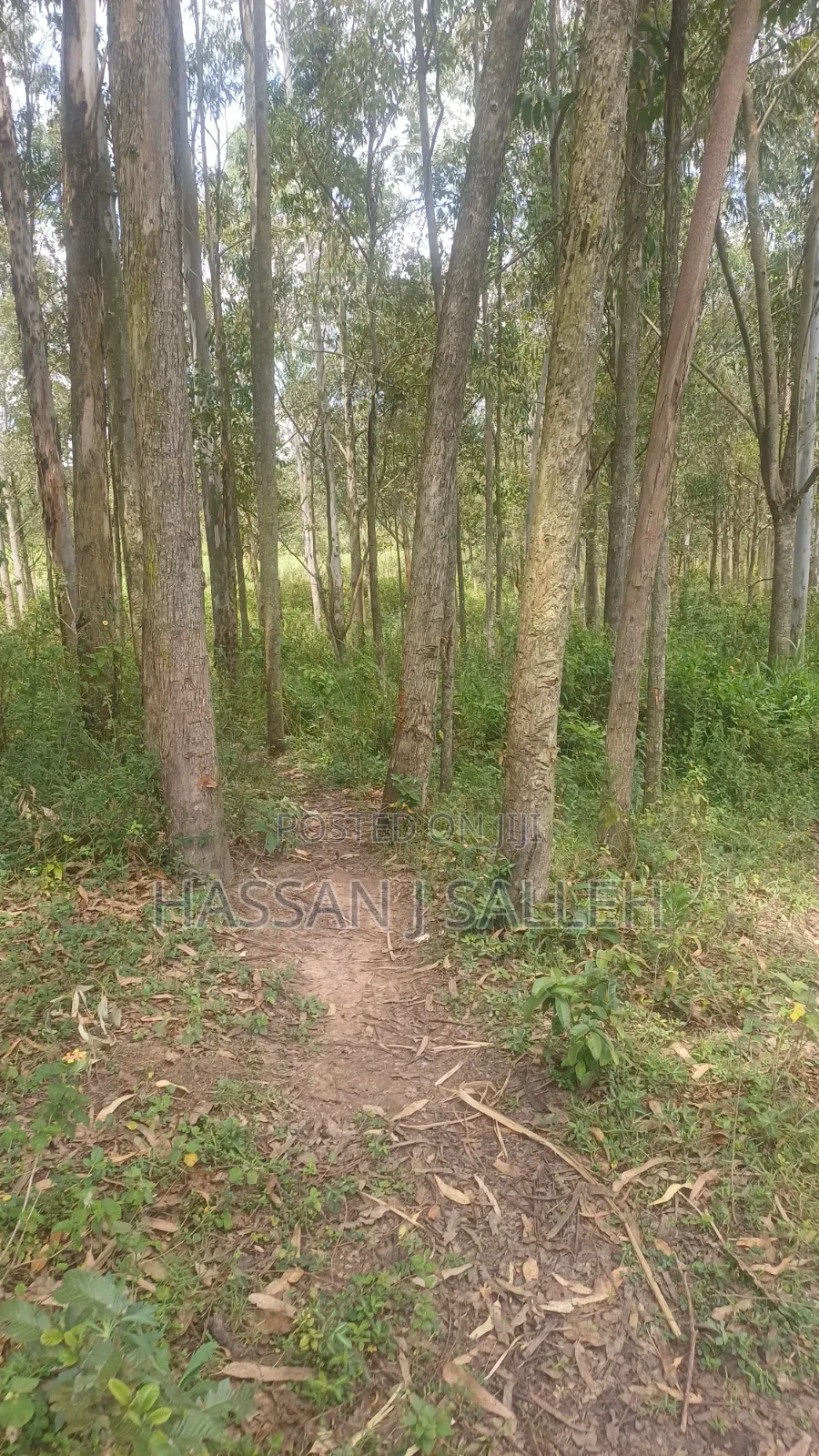 2acres Matungu in Koyonzo