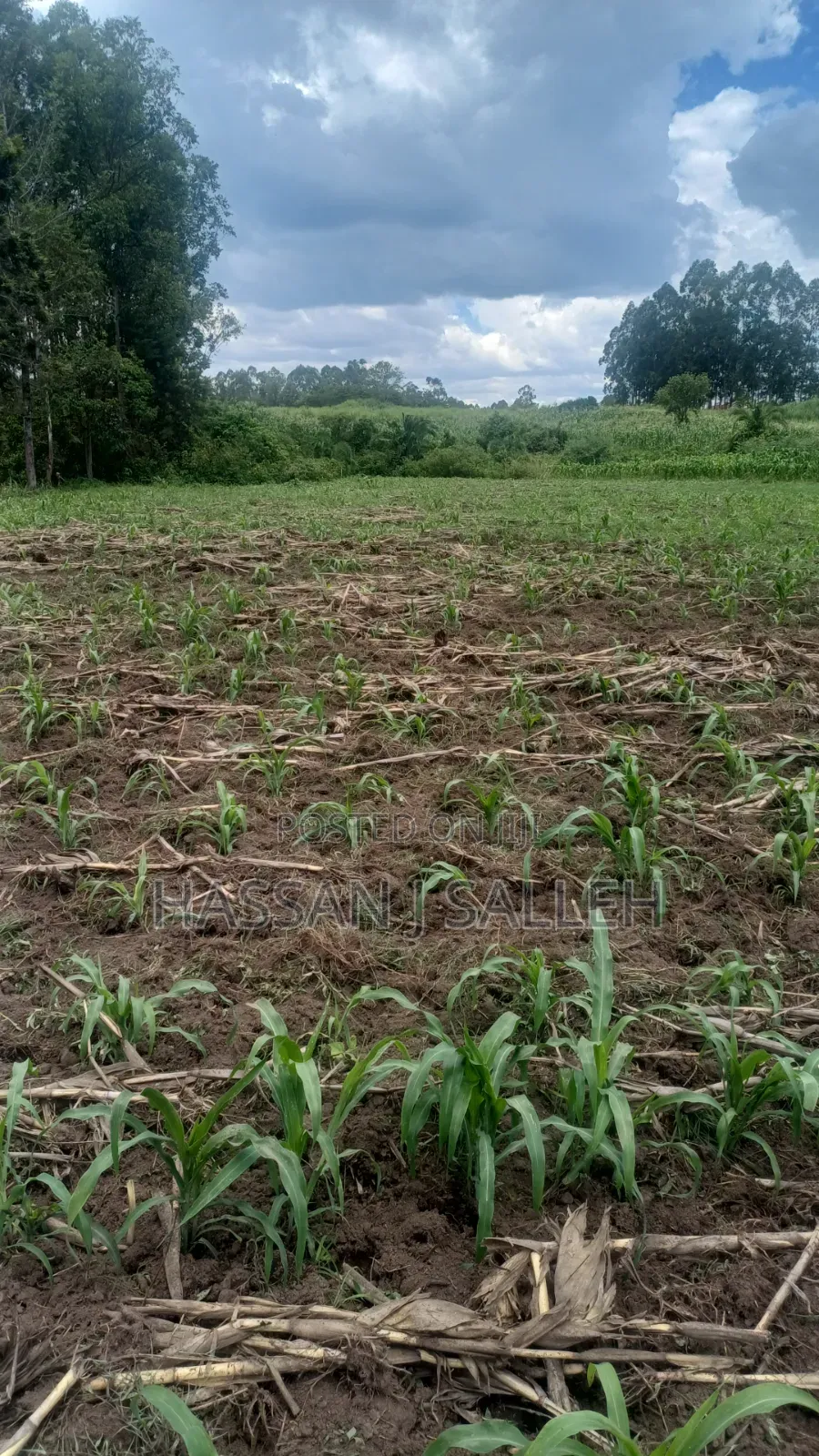 3acres Matungu on Sale in Koyonzo