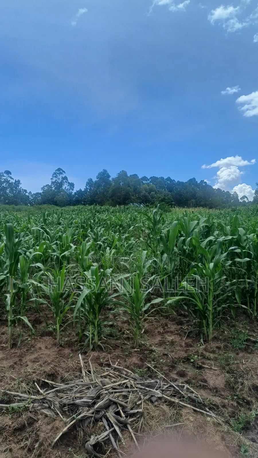 3acres Matungu on Sale in Koyonzo
