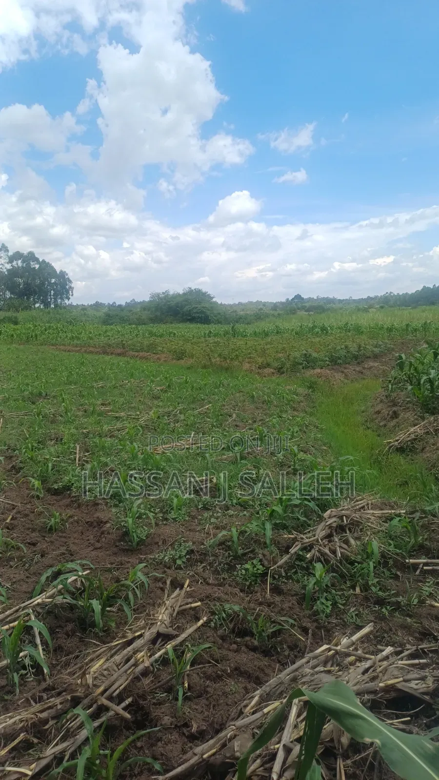 3acres Matungu on Sale in Koyonzo