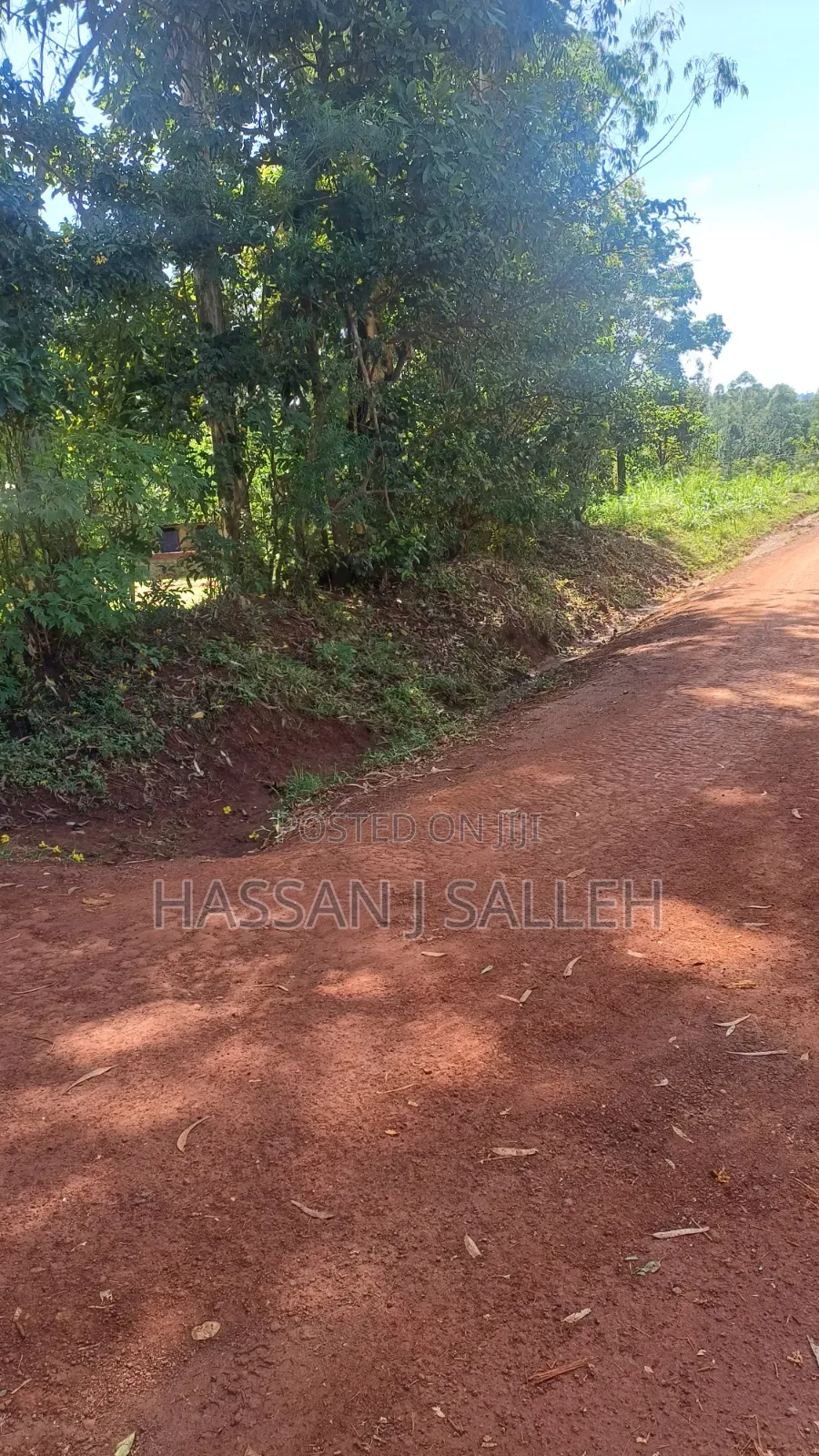 1/2a Mumias Town in Mumias Central
