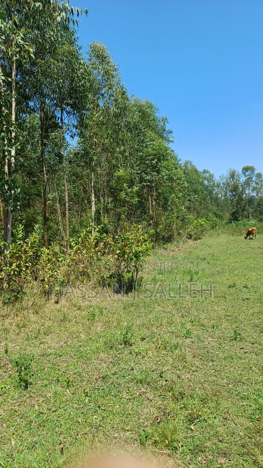 1acre Lureko Mumias. in Mumias Central