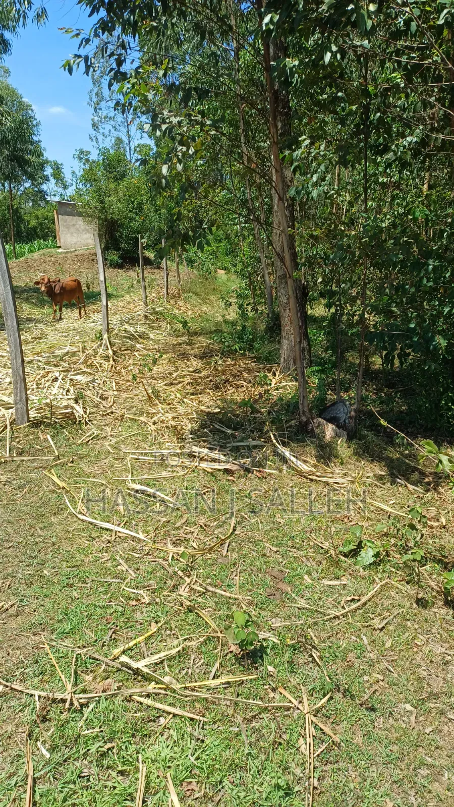 1acre Lureko Mumias. in Mumias Central
