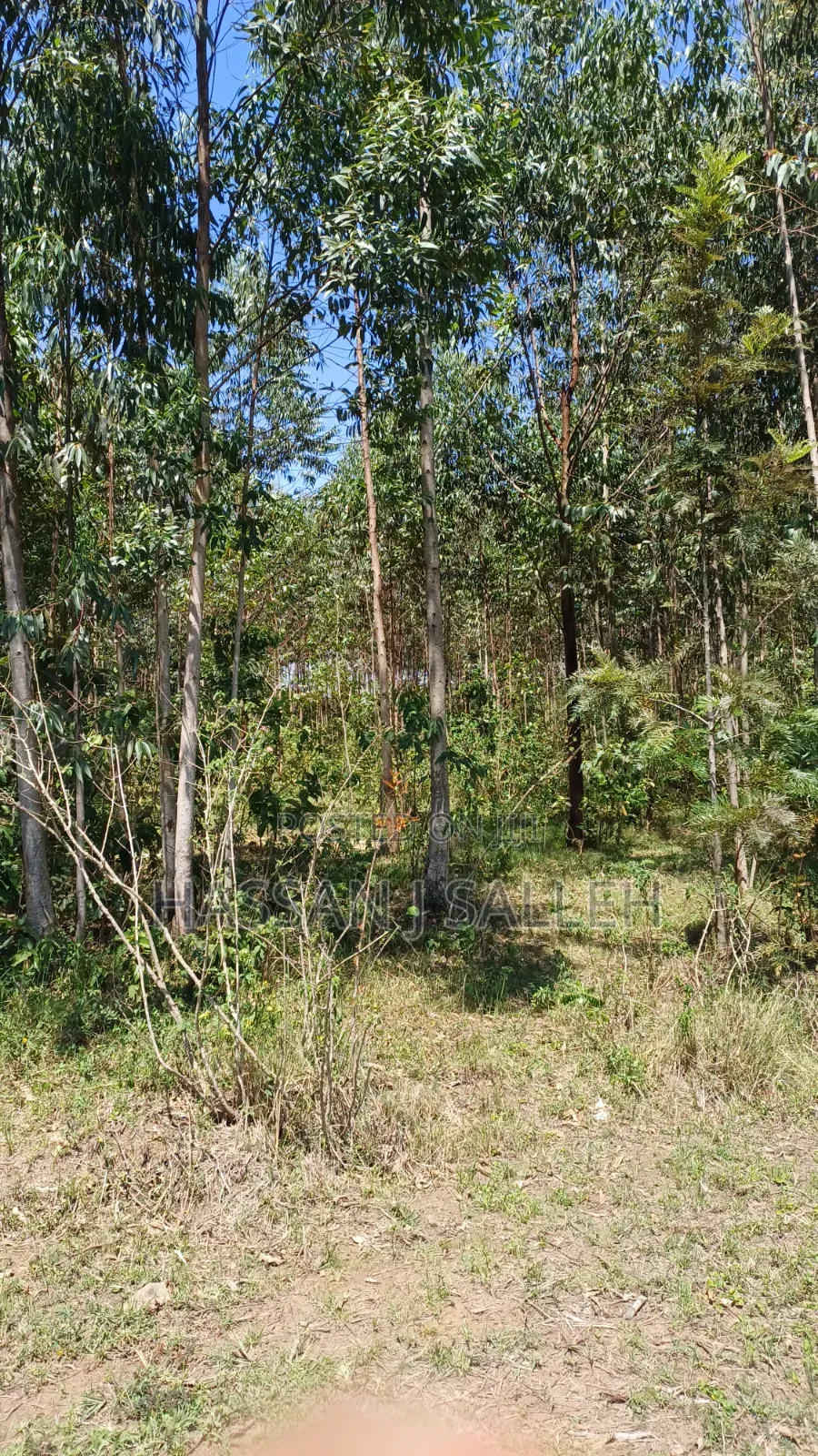 1acre Lureko Mumias. in Mumias Central