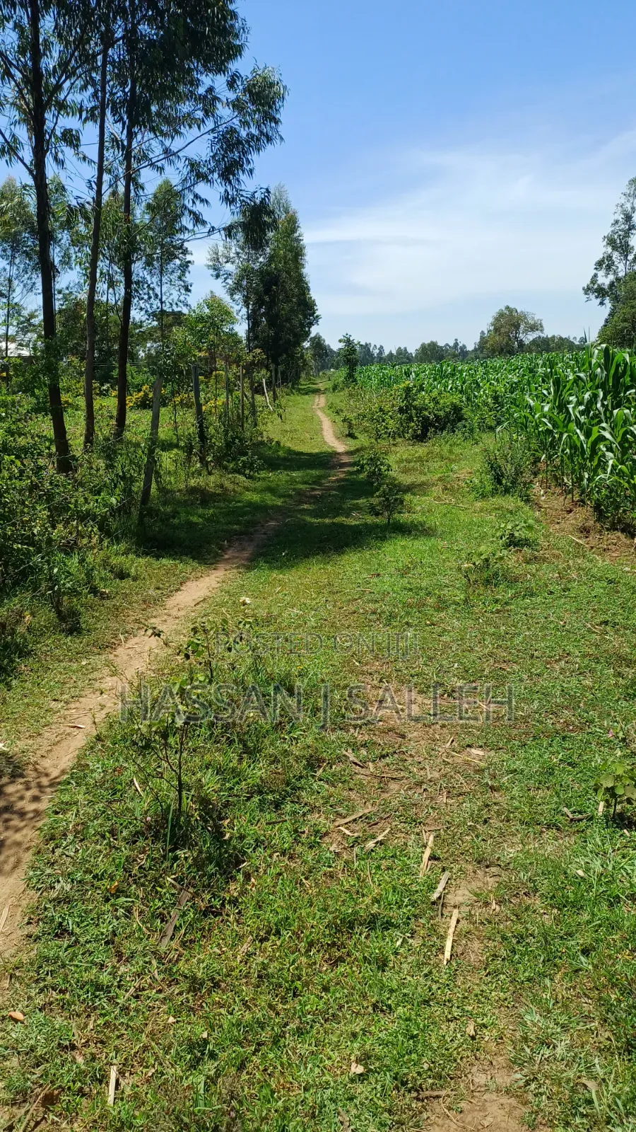 1acre Lureko Mumias. in Mumias Central