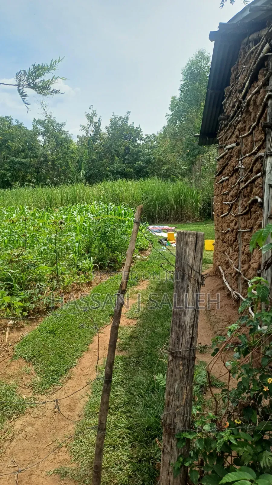 Makunga Plot 4 Sale in Malaha/Isongo/Makunga