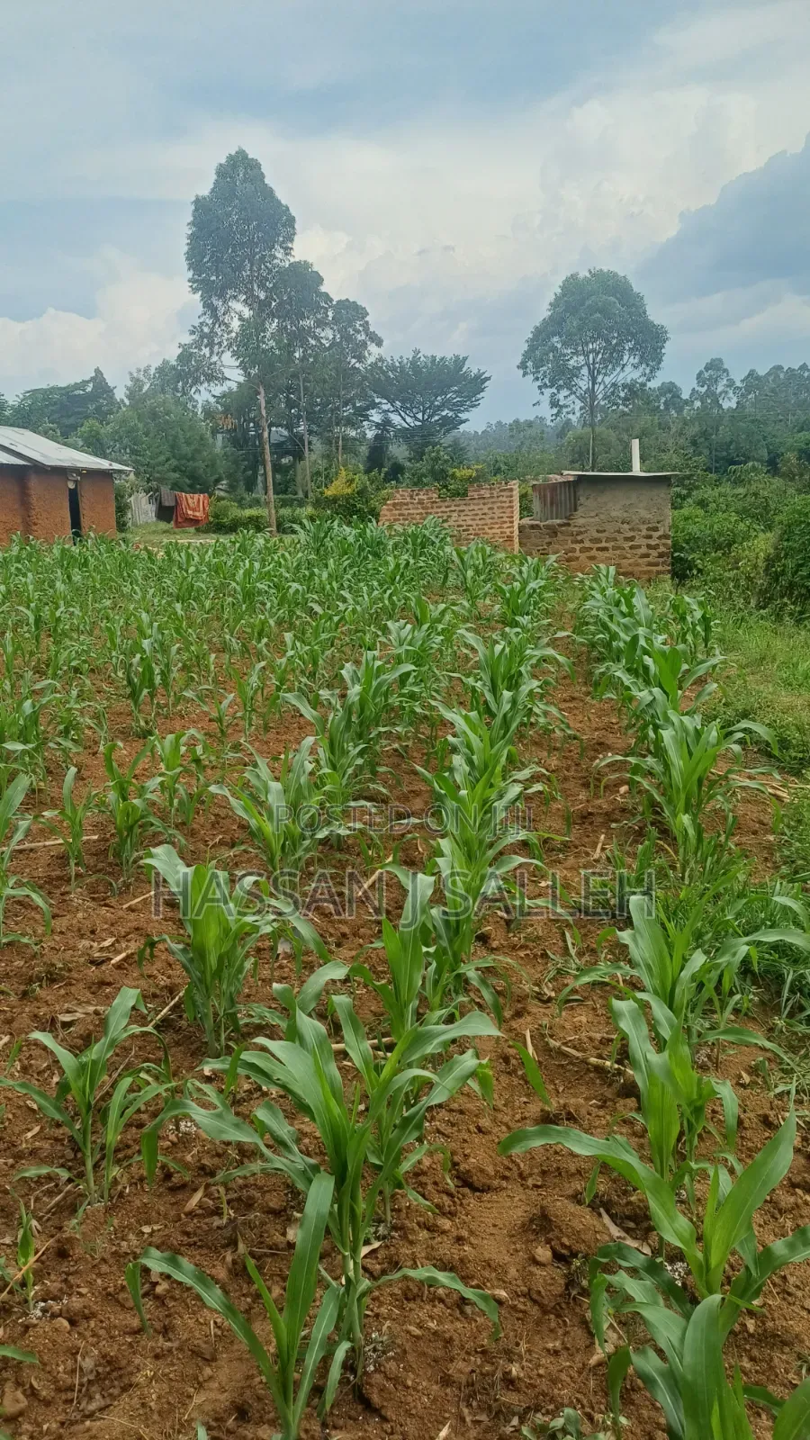 Makunga Plot 4 Sale in Malaha/Isongo/Makunga