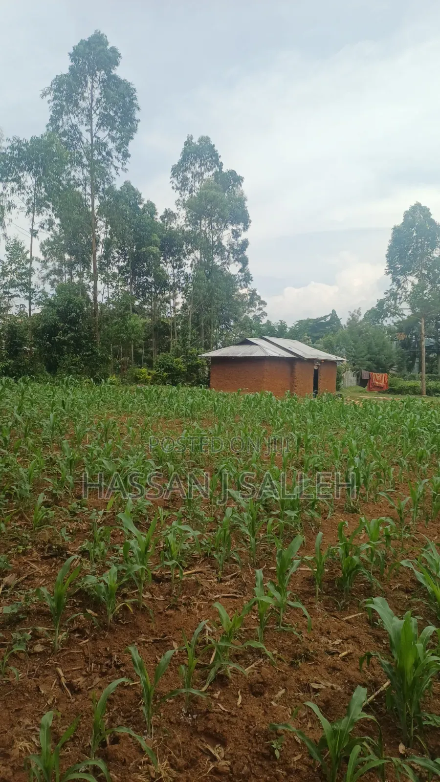 Makunga Plot 4 Sale in Malaha/Isongo/Makunga