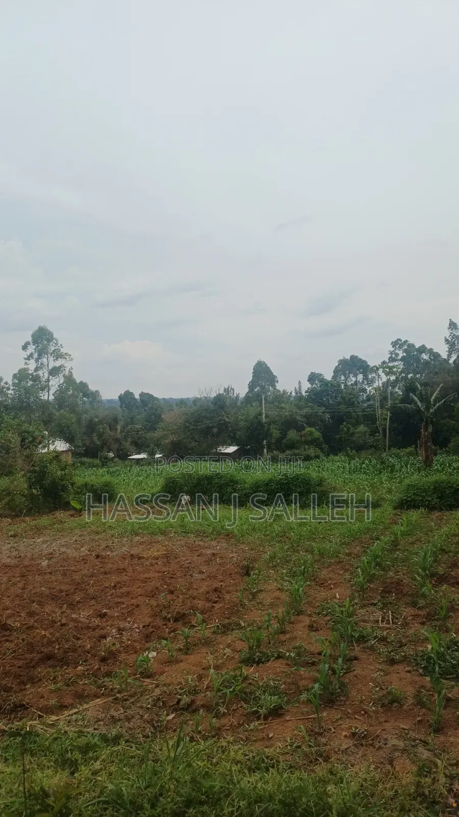 Makunga Plot 4 Sale in Malaha/Isongo/Makunga