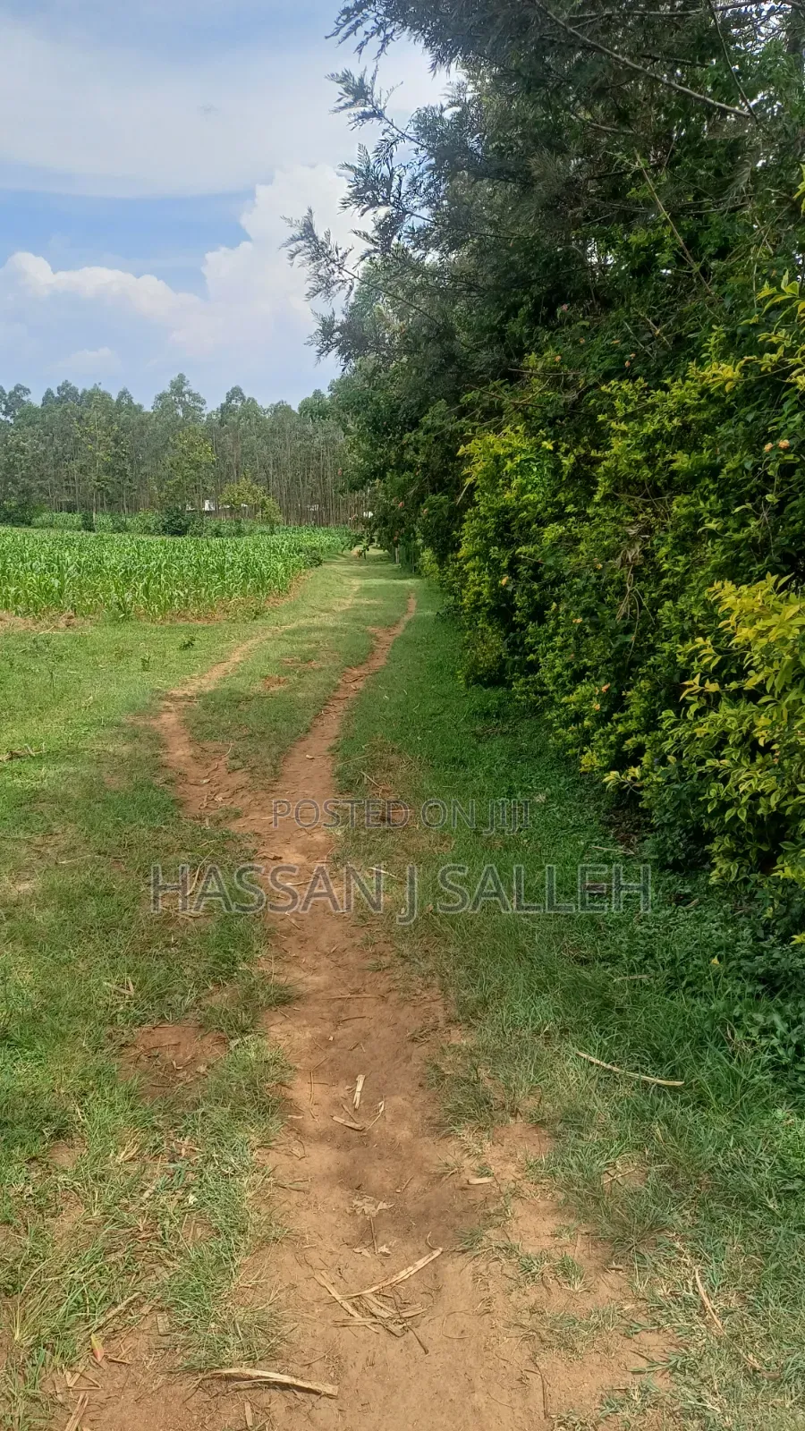 1/2a Makunga in Malaha/Isongo/Makunga